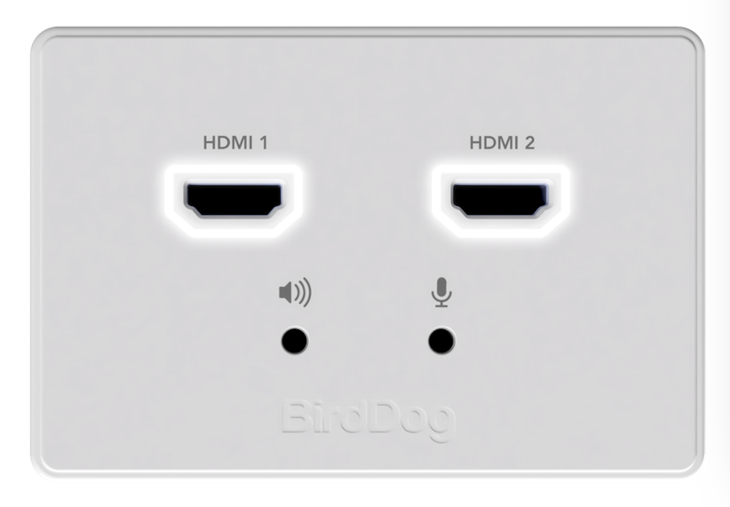 BirdDog Wallplate Dual Input