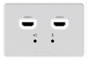 BirdDog Wallplate Dual Input